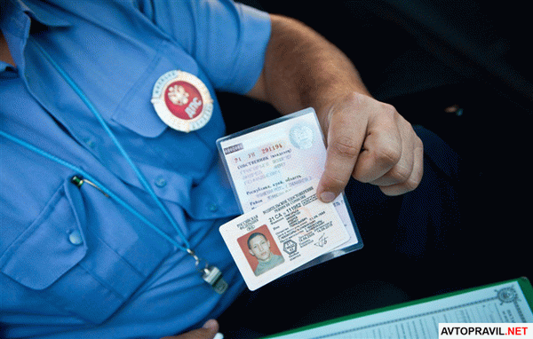 Сотрудник ГИБДД, держащий в руках водительское удостоверение